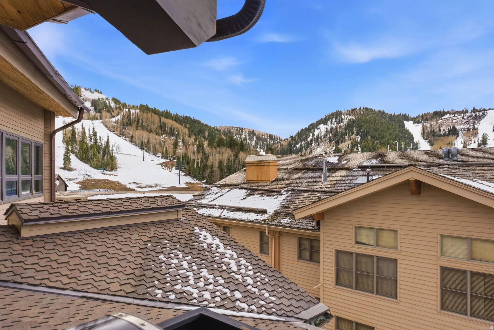 Mountain backdrop featuring ski slopes and abundant evergreen trees