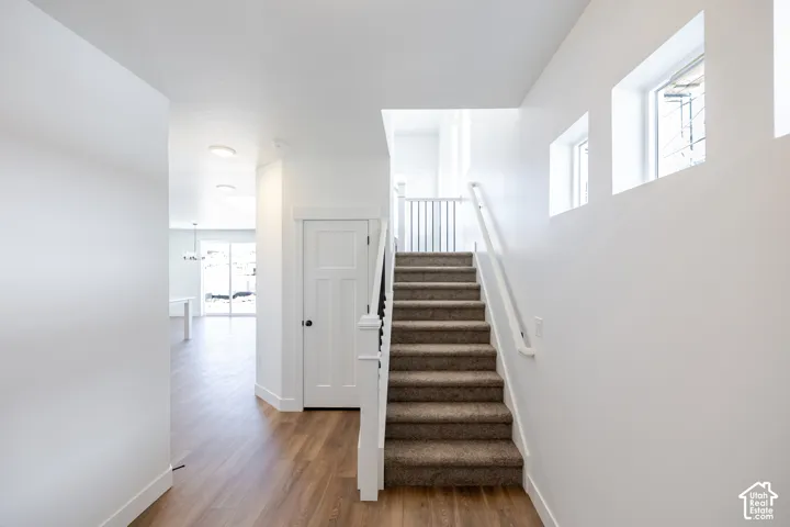 Hardwood-look flooring extending through the hallway, white painted walls, white trim, and a carpeted staircase with a white handrail