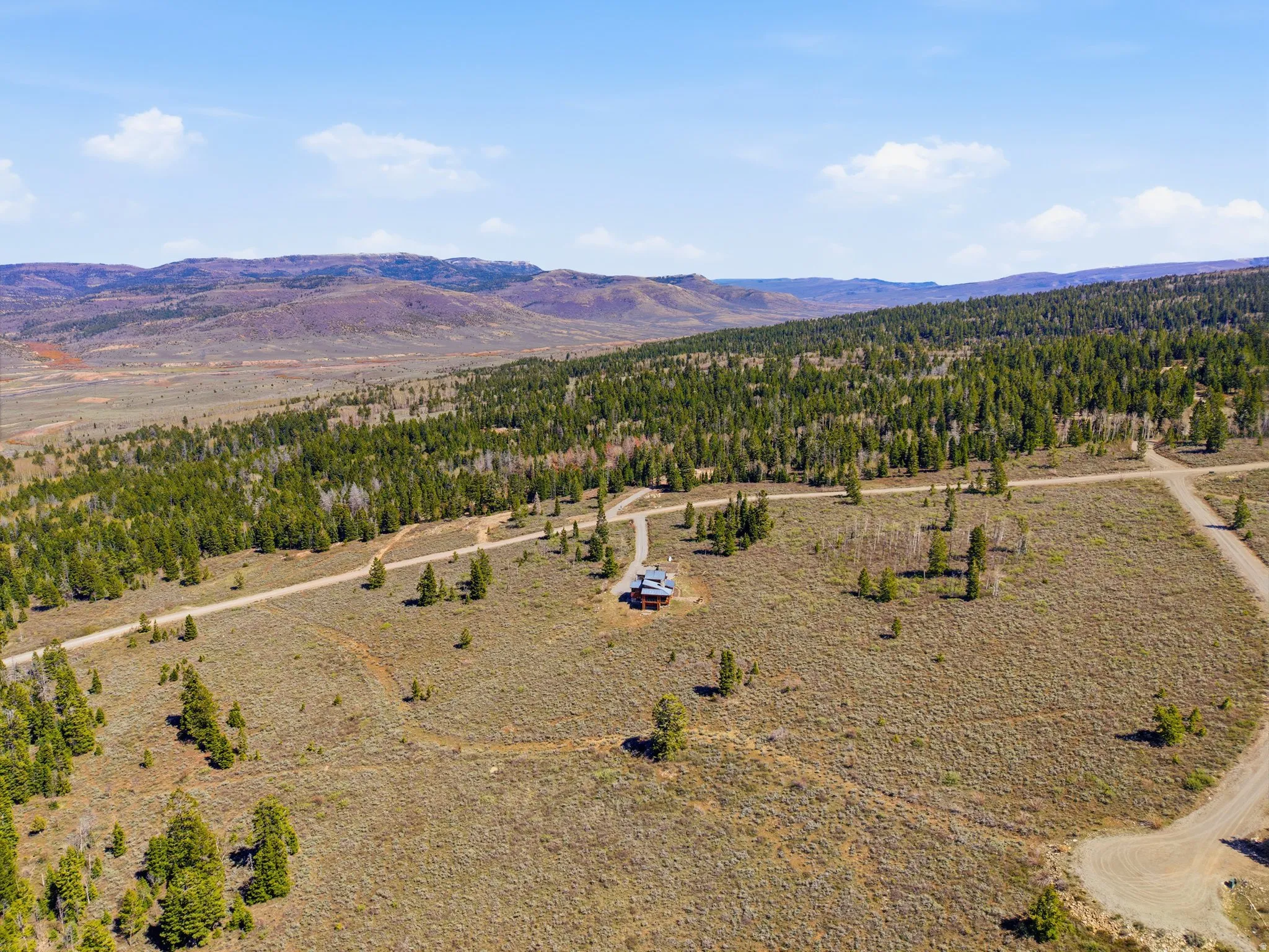 View of mountain backdrop with a heavily wooded area