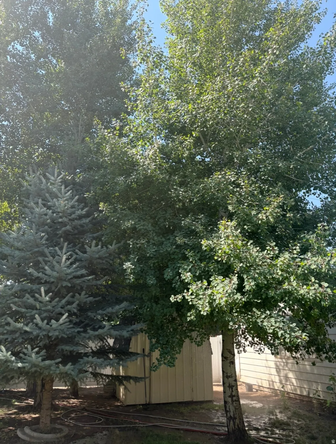 View of side of home featuring a storage shed
