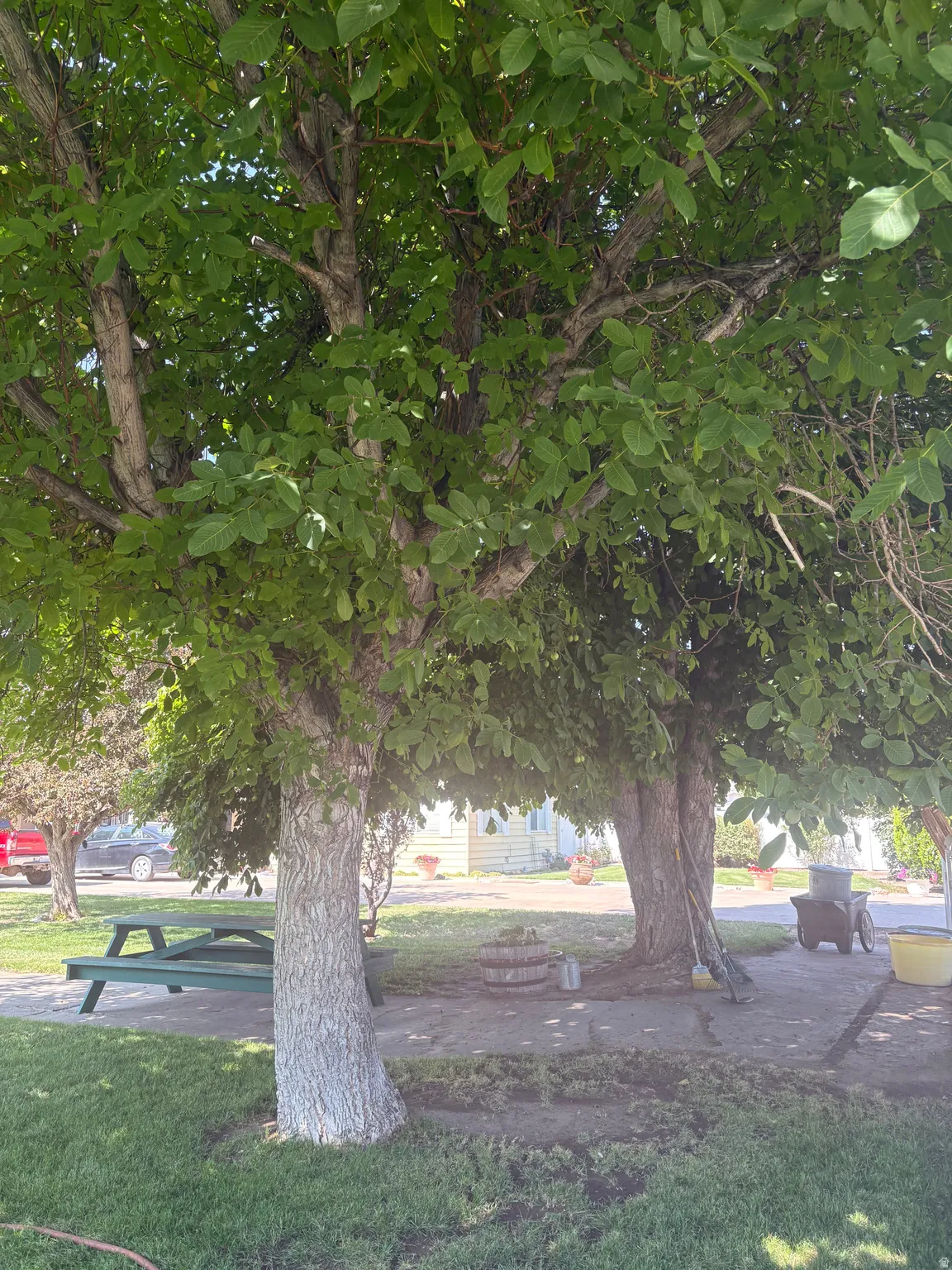 View of home's community with a patio
