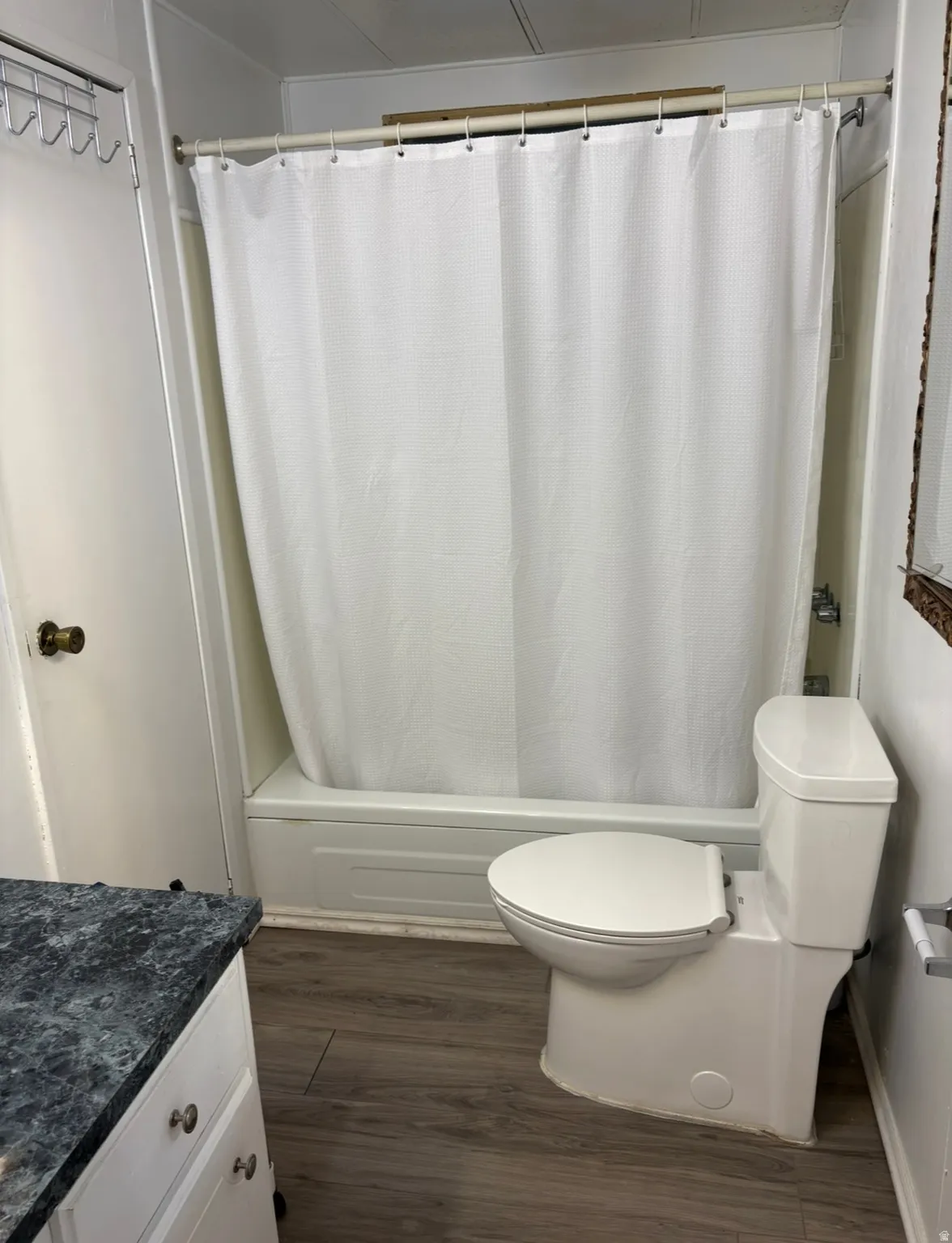 Full bathroom featuring vanity, dark wood-style flooring, and shower / bath combo