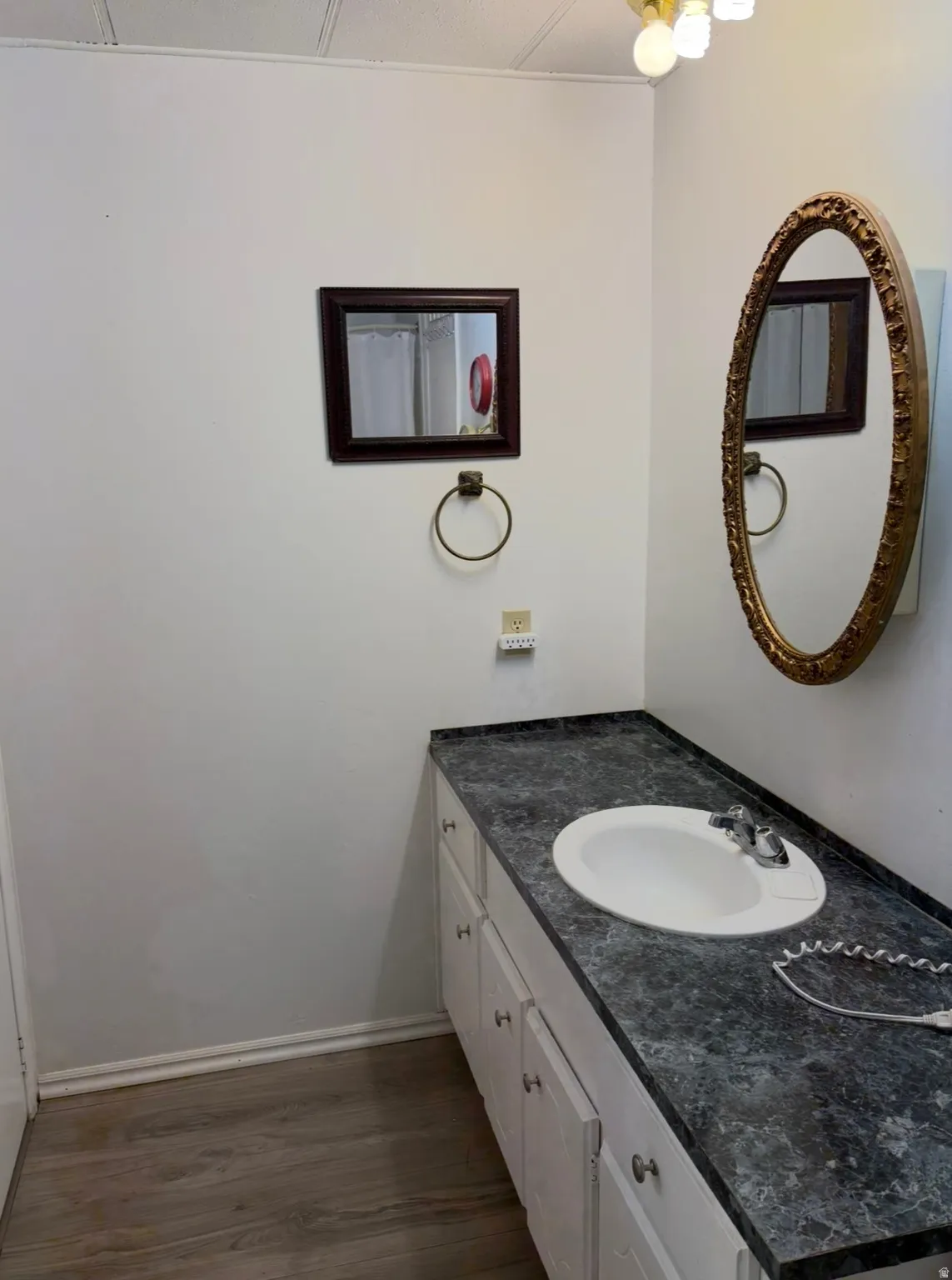 Bathroom featuring dark wood-style floors and vanity