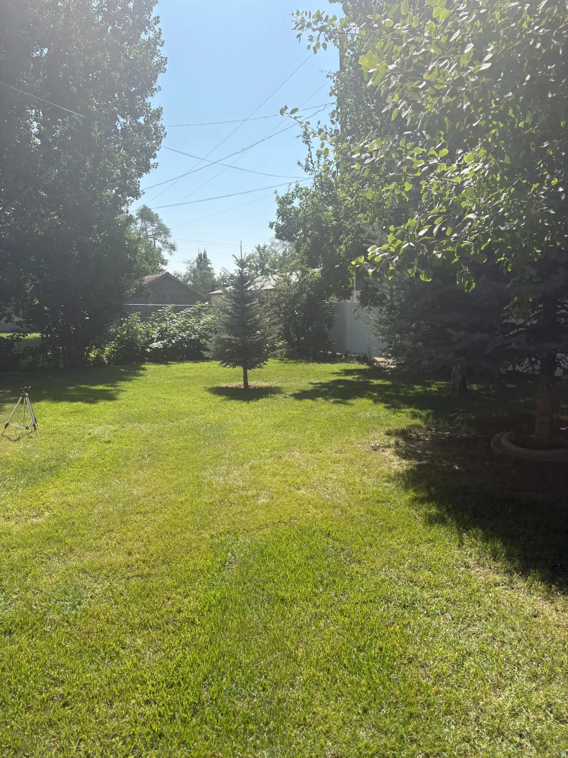 View of fenced yard