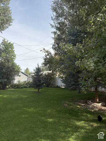 Expansive lawn area with mature trees and evergreen plantings