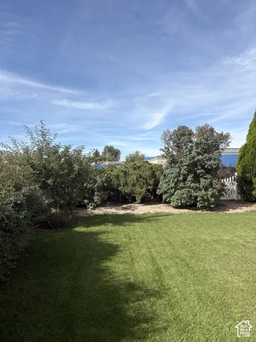 Expansive lawn with mature trees and established perimeter shrubs