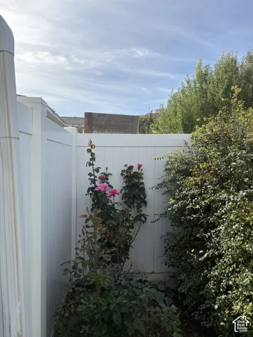 White privacy fence with established shrubbery and blooming rose bushes