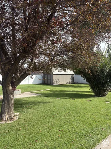 Expansive lawn area with a mature tree, concrete stepping stones, and a storage shed
