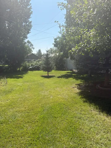 View of fenced yard