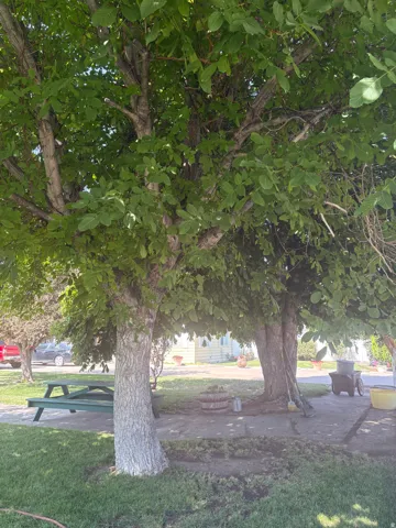 View of home's community with a patio