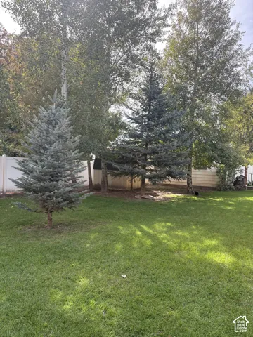 Expansive backyard featuring a manicured lawn, several mature trees, and a white privacy fence