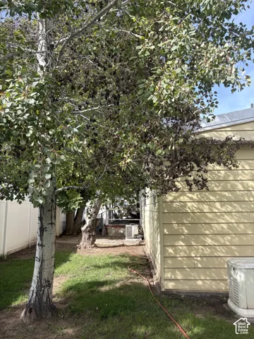 Spacious side yard with mature shade tree, lush lawn, and direct access between residential structures