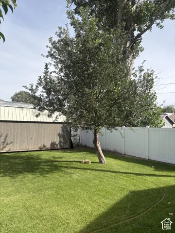 Expansive lawn with mature trees and white privacy fencing