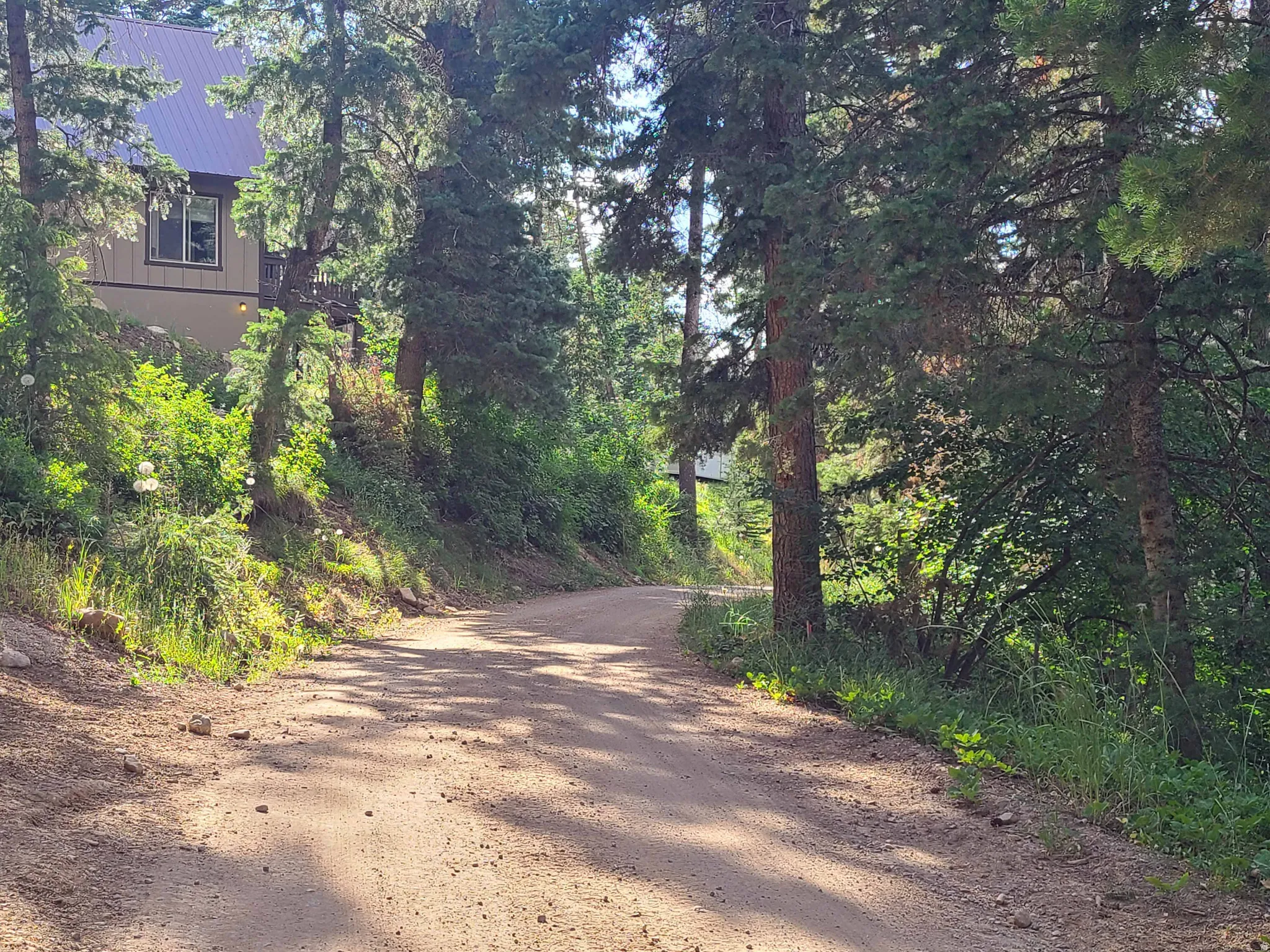 View of dirt / gravel road