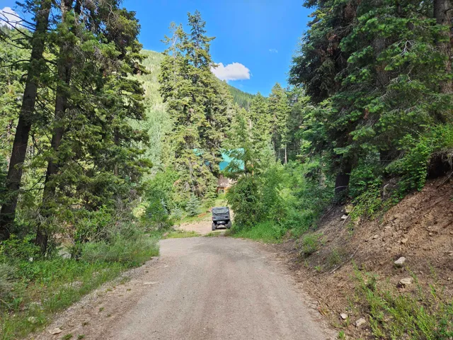 View of road with a view of trees