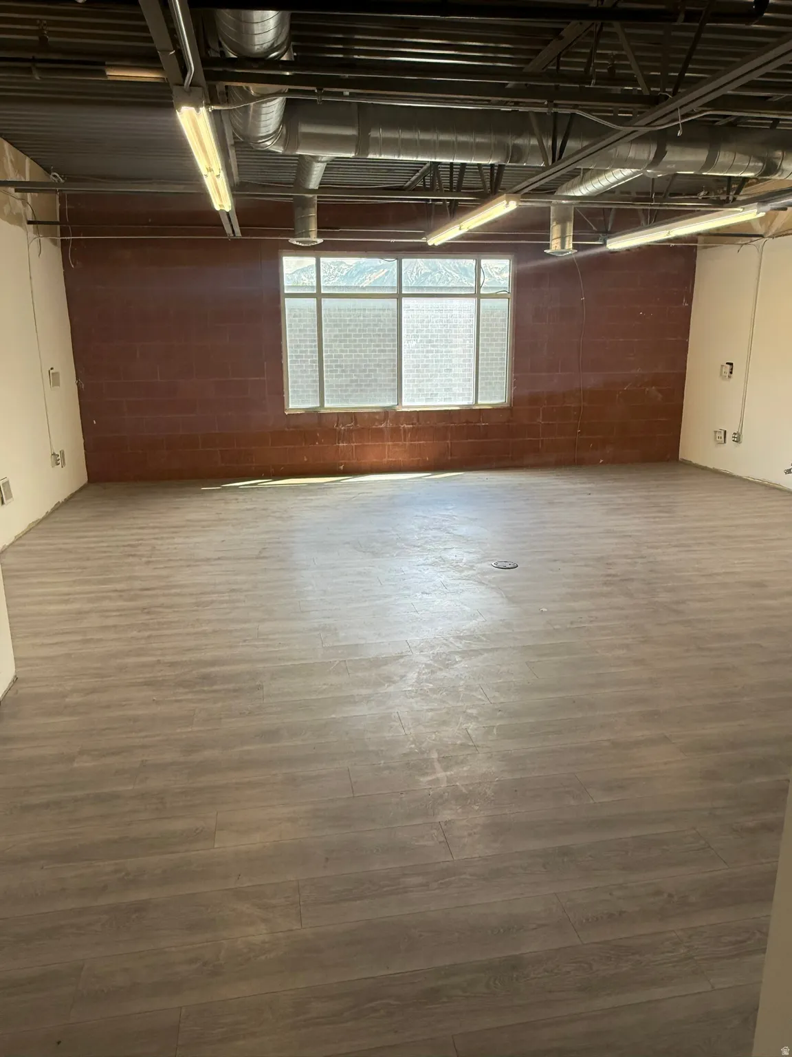 Basement with concrete block wall and dark wood-style flooring