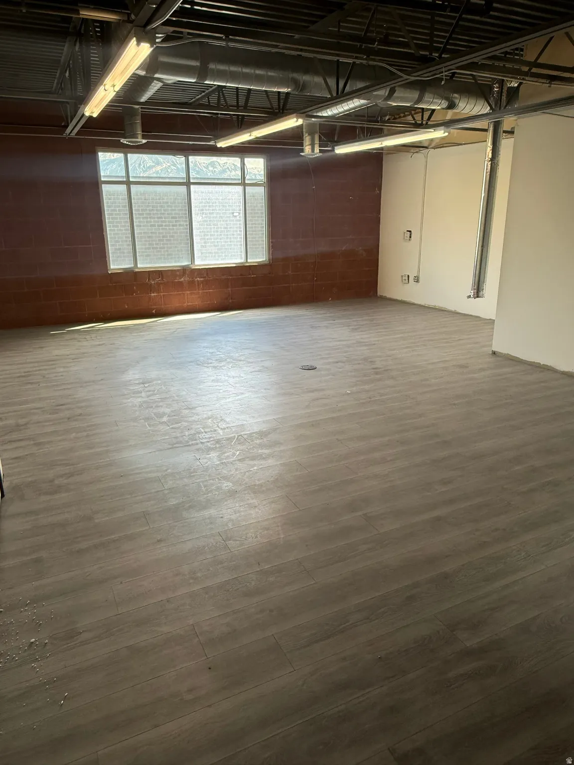 Basement featuring concrete block wall and dark wood finished floors