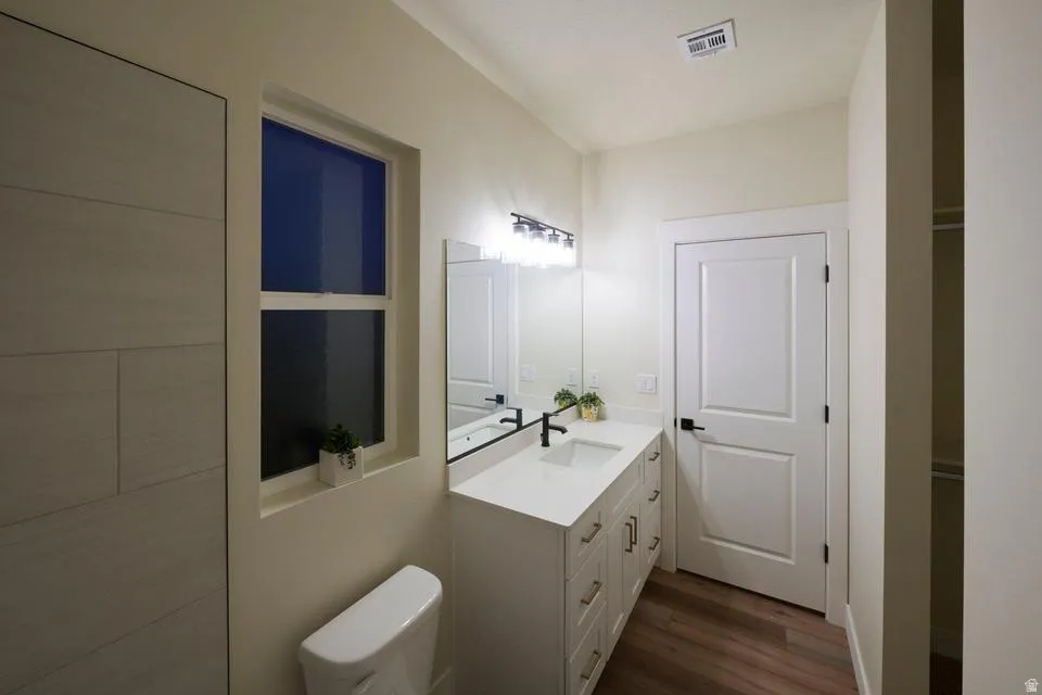 Bathroom with vanity and dark wood-type flooring