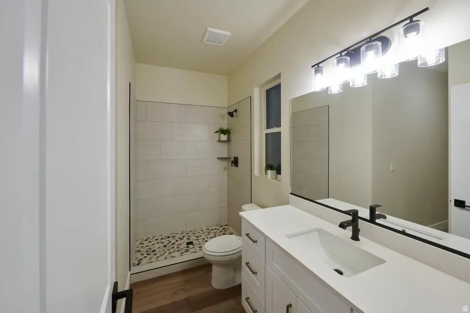 Bathroom with a shower stall, vanity, and dark wood-style flooring