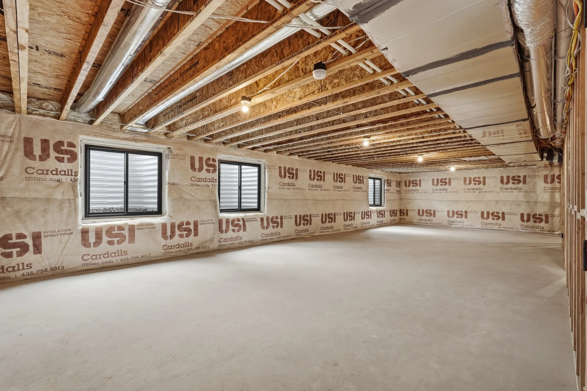 Basement with healthy amount of natural light