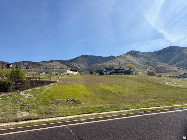 View of mountain background