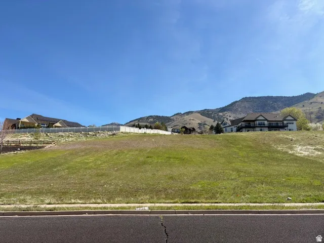 View of mountain background