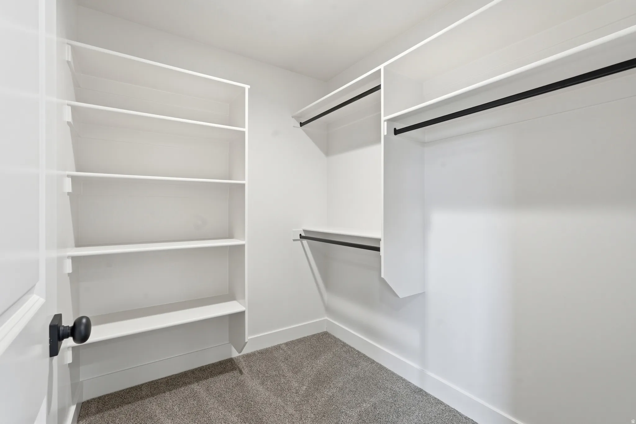 Walk in closet with dark colored carpet