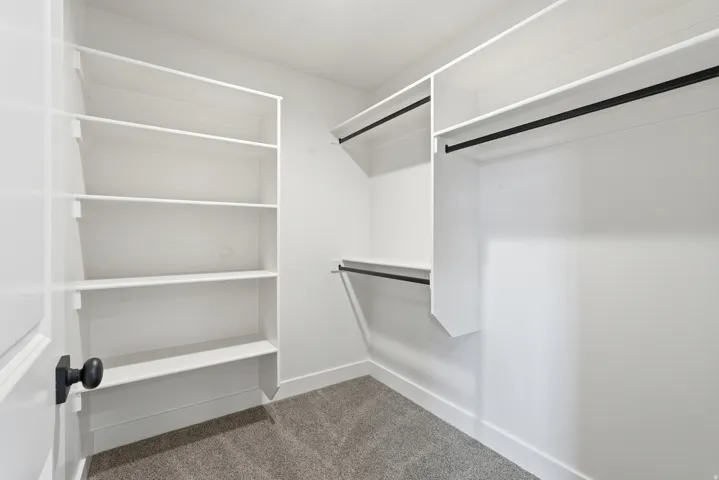 Walk in closet with dark colored carpet