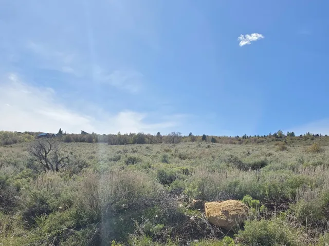 This is the view of local wilderness featuring rural landscape when you look up the lot from Serviceberry Dr.