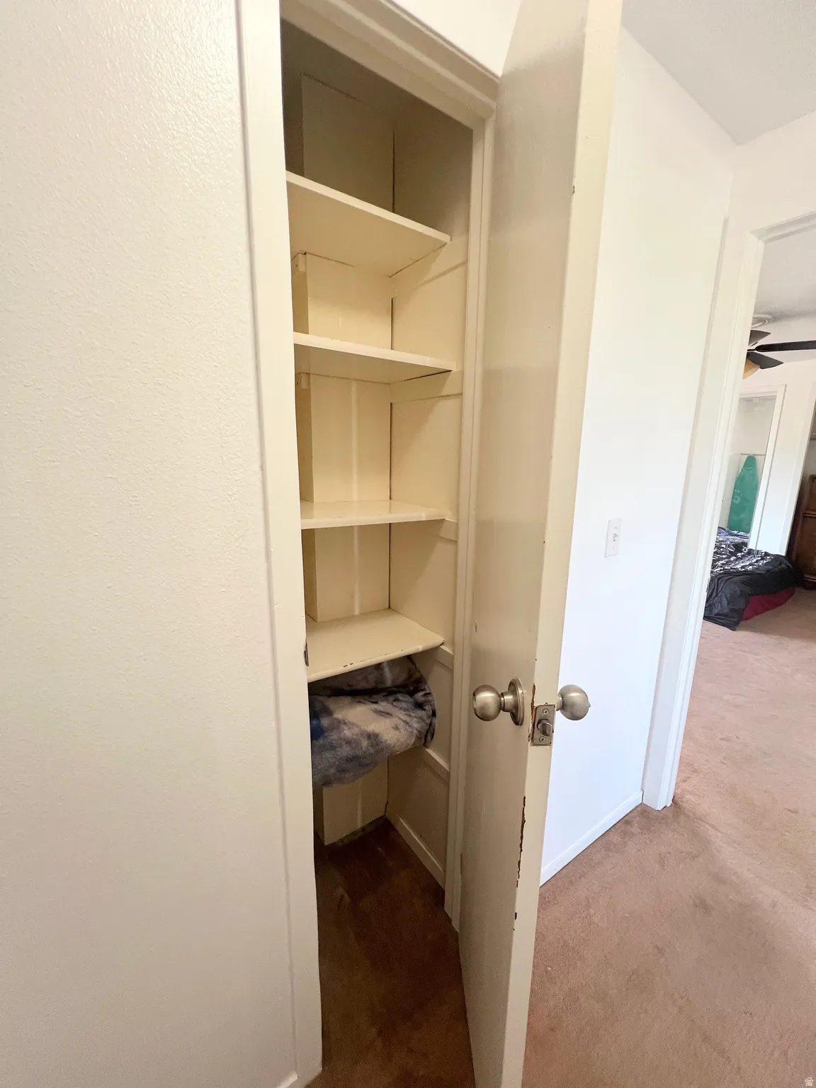 View of hall closet
