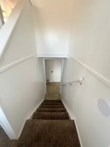 Staircase featuring carpet