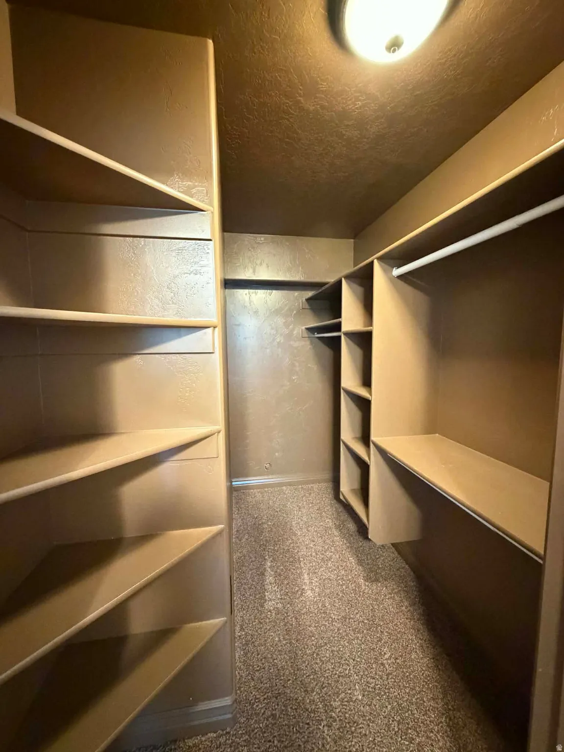 Walk in closet with dark colored carpet