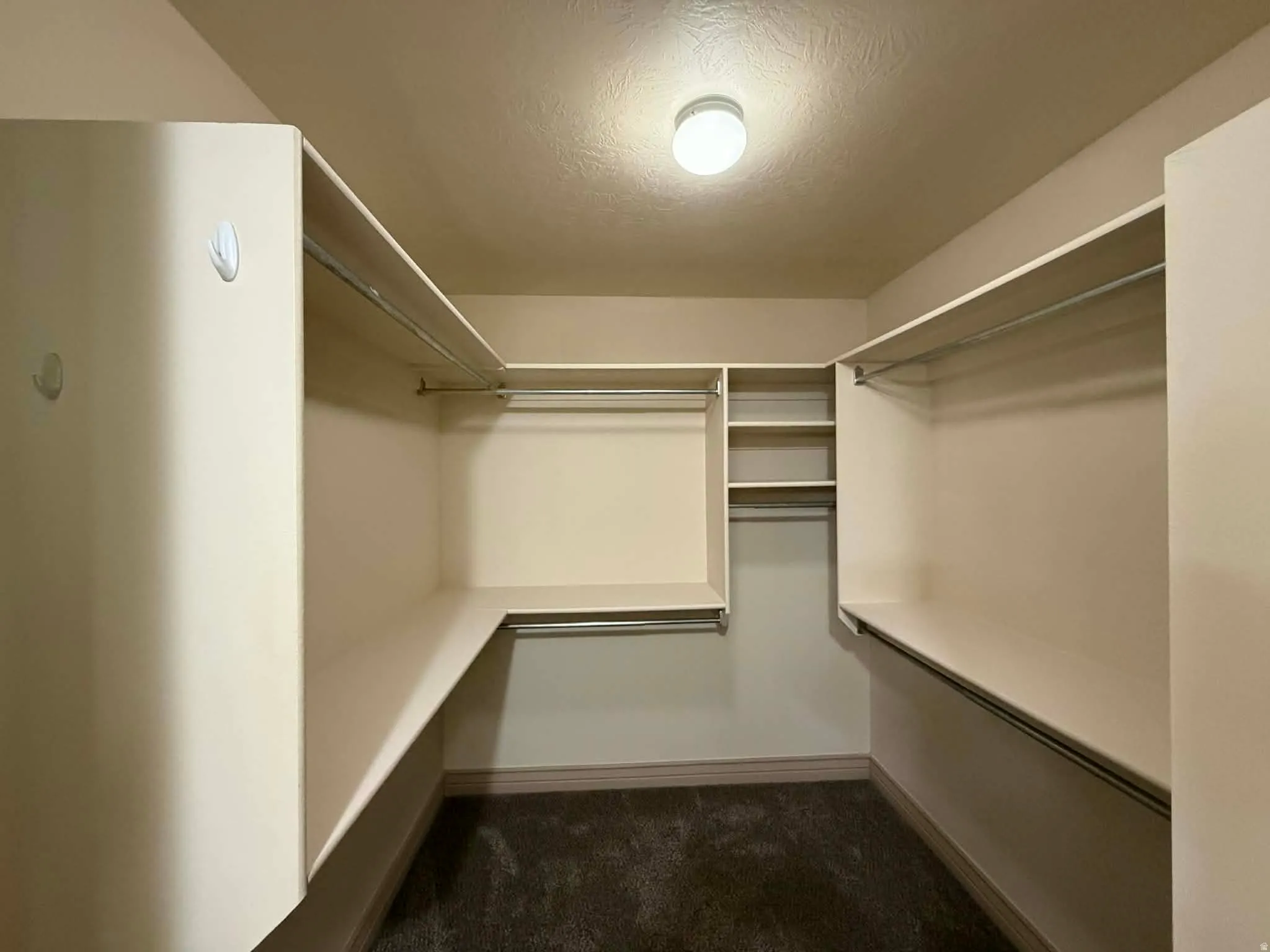 Walk in closet with dark carpet