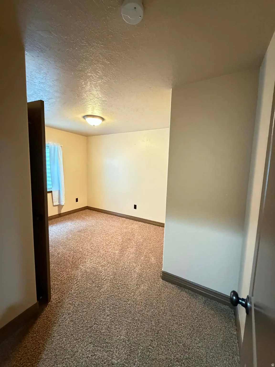 Empty room featuring light carpet, a textured ceiling, and a smoke detector