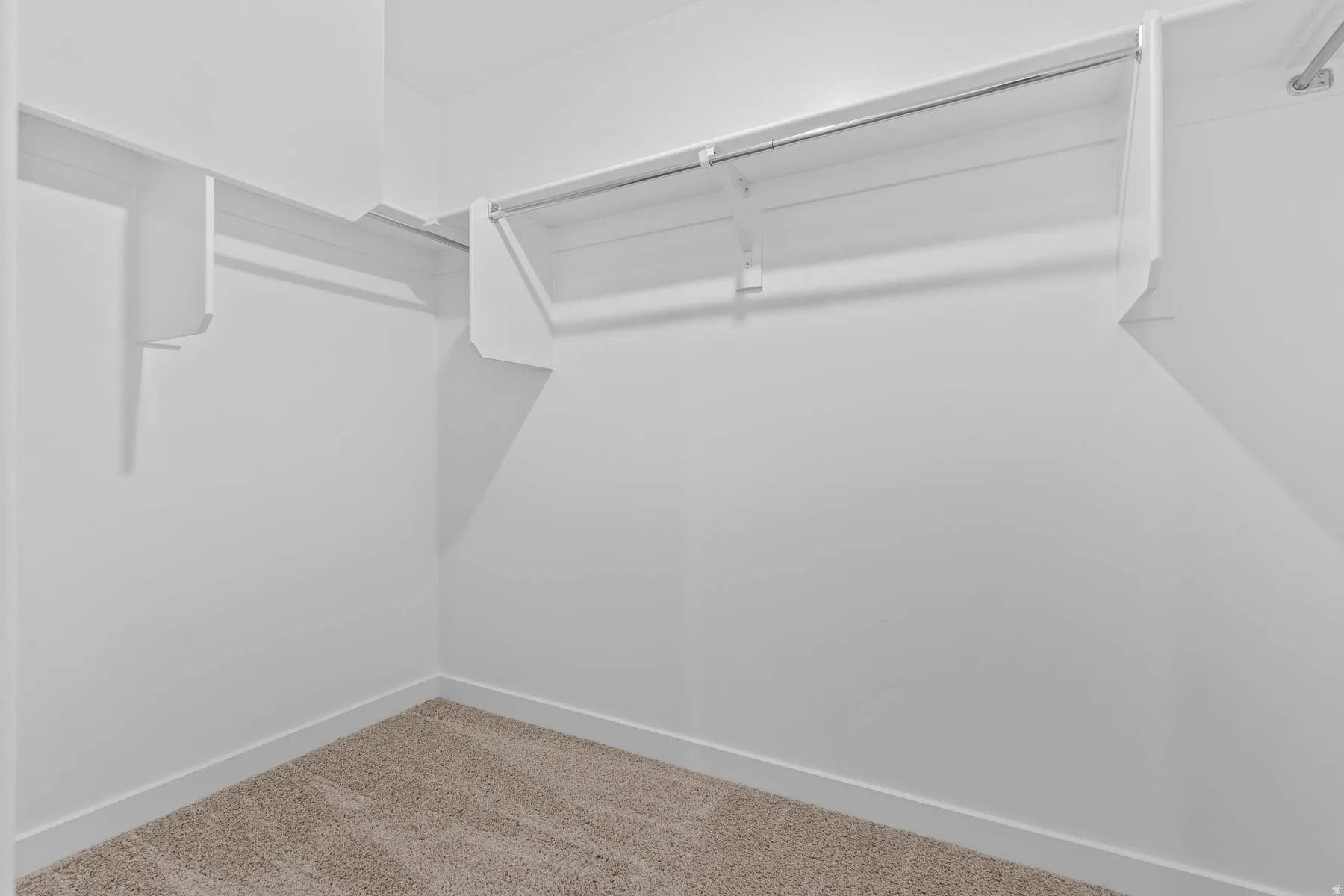 Walk in closet featuring carpet