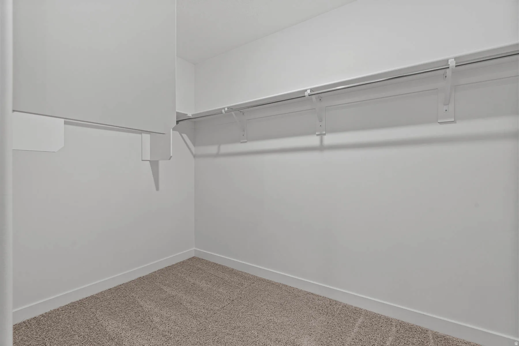 Walk in closet featuring carpet