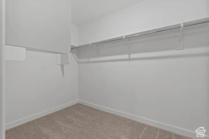 Walk in closet featuring carpet