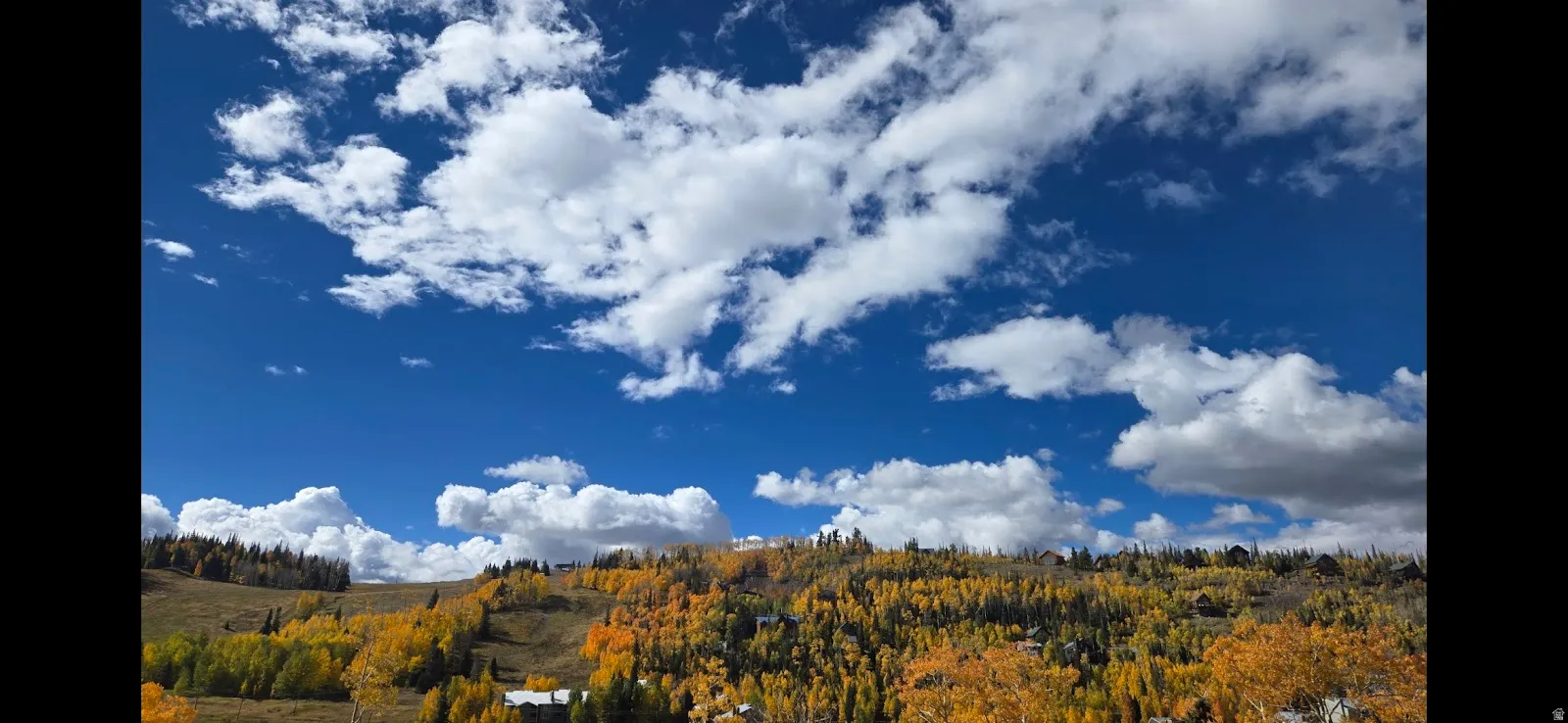 View of mountain backdrop featuring a heavily wooded area