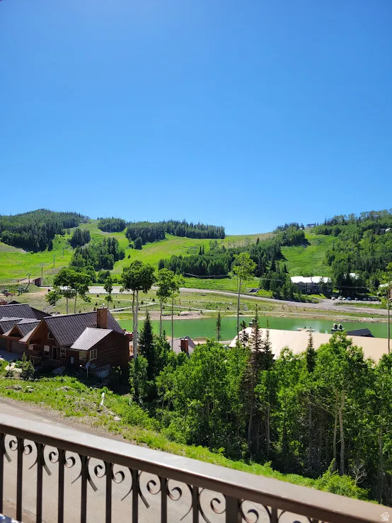 Summer view