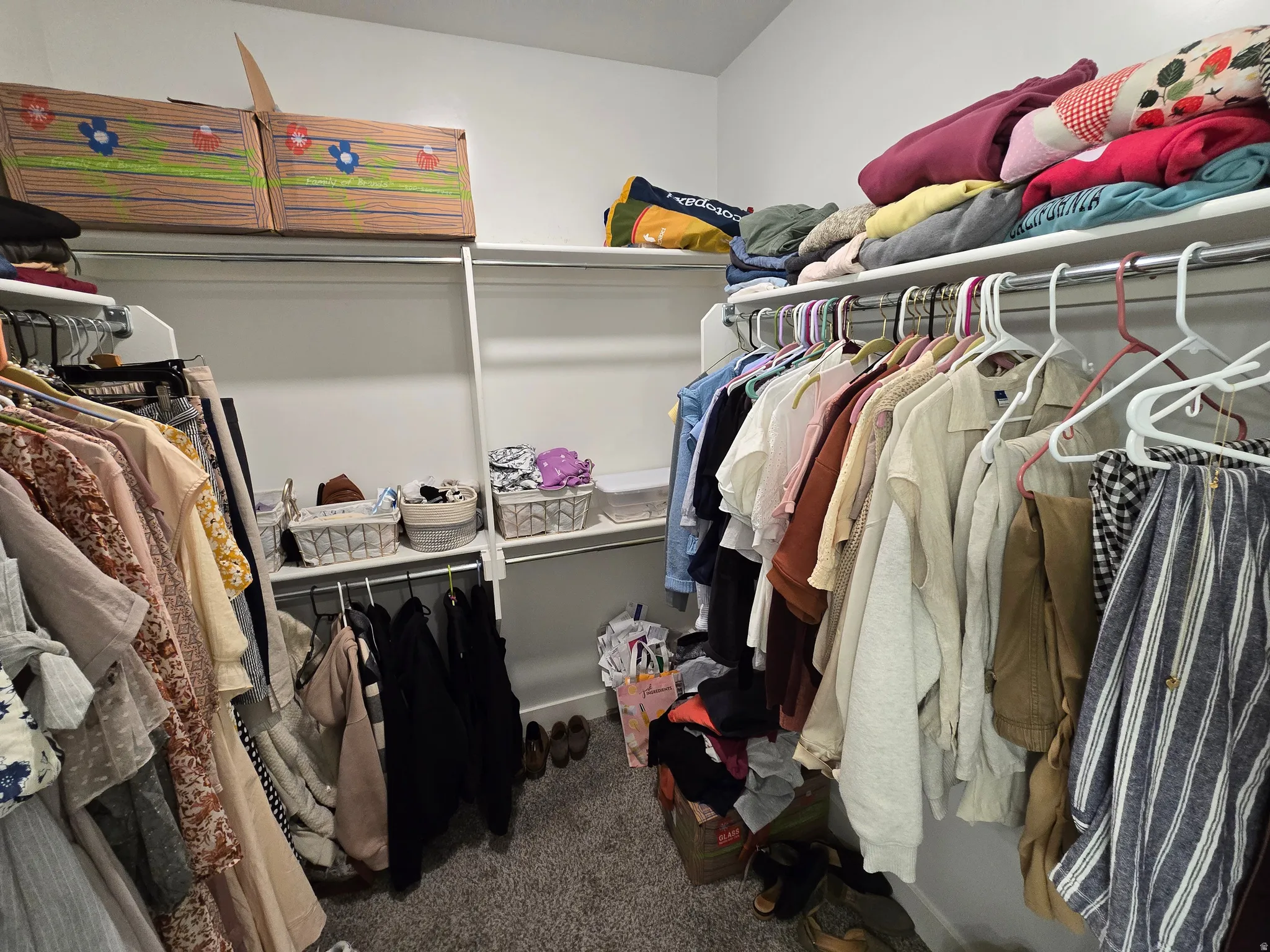 Walk in closet featuring dark colored carpet