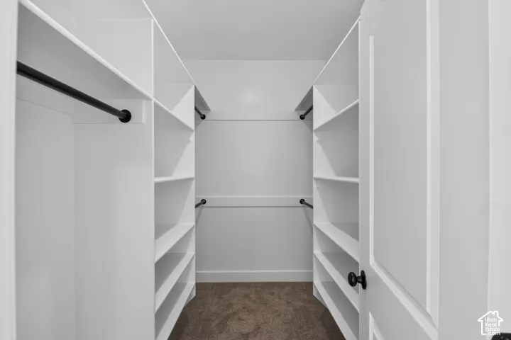Built-in shelving, dark-finish hanging rods, white paneled door, dark door hardware, and carpet flooring