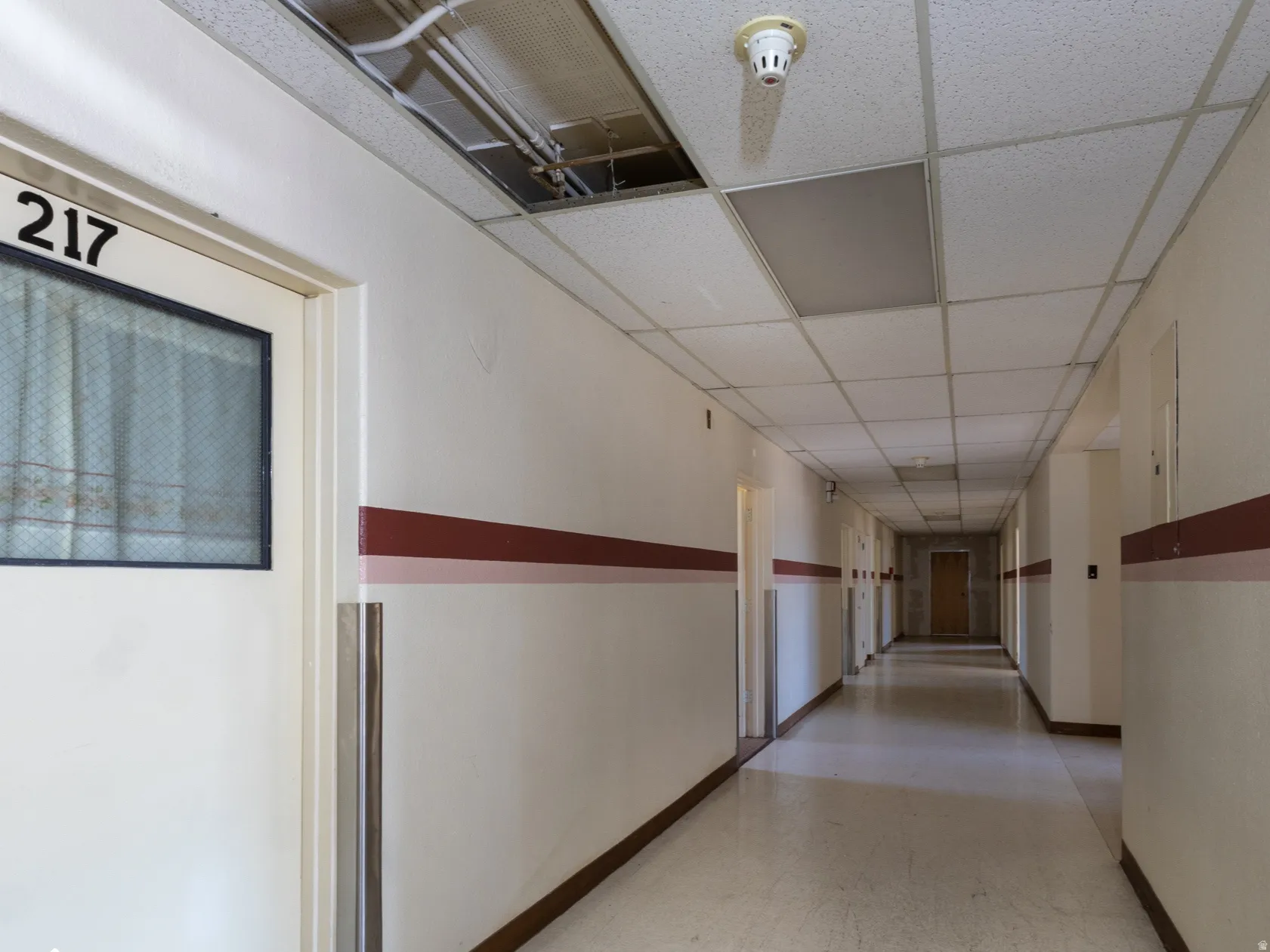Long hallway featuring a drop ceiling, institutional light fixtures, and a white door with a window and the number 217