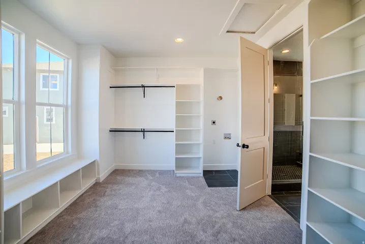 Walk in closet with light carpet
