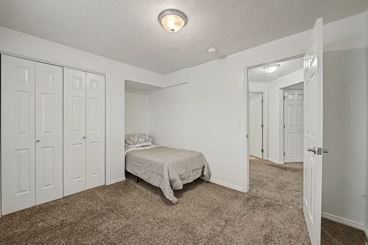 Carpeted room featuring white walls, a white ceiling, and a flush-mount ceiling light fixture