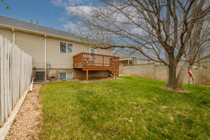 Expansive backyard featuring a wood deck, established lawn, and mature tree