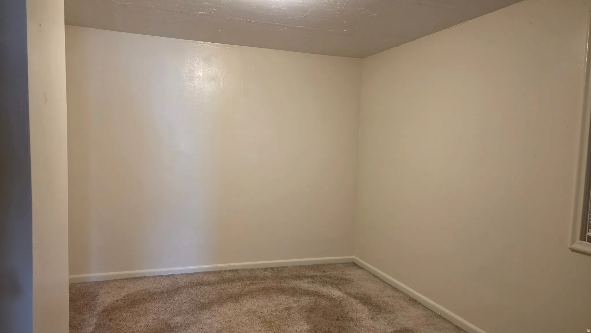 Neutral-toned walls with contrasting baseboards, textured ceiling, and carpeted flooring