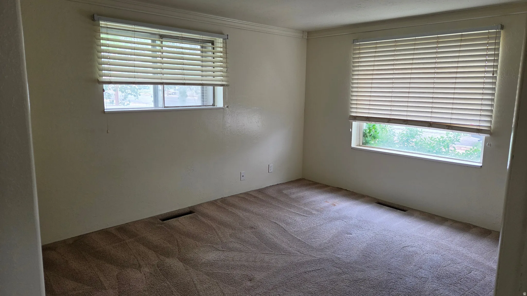Carpeted room featuring two windows with horizontal blinds and crown molding