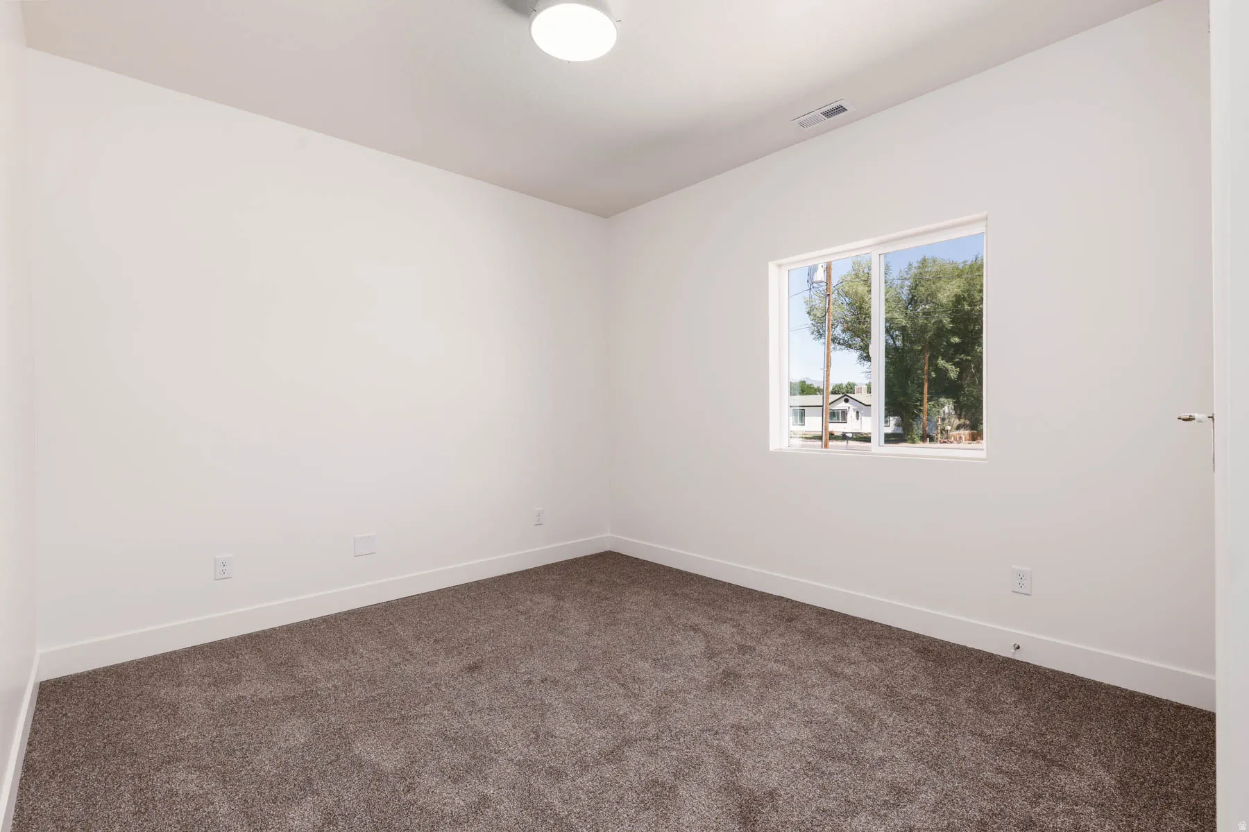 Light-filled room featuring a double-pane window, neutral carpet, white baseboards, and a flush-mount ceiling light fixture