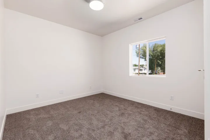 Light-filled room featuring a double-pane window, neutral carpet, white baseboards, and a flush-mount ceiling light fixture