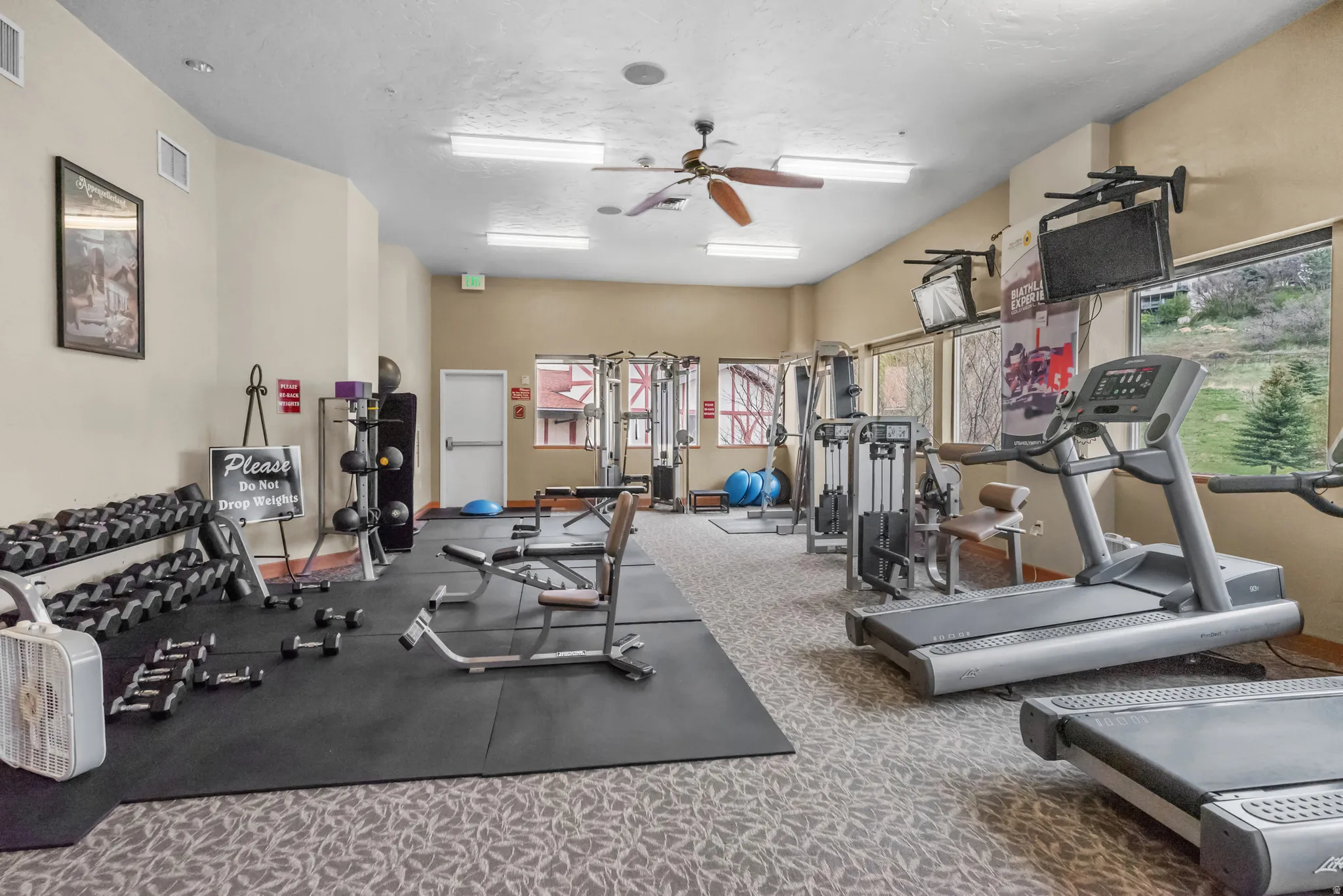 Dedicated fitness center with extensive exercise equipment, patterned carpeting, multiple windows providing natural light, and a ceiling fan